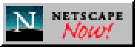 Netscape NOW!